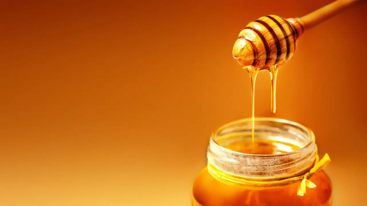 Non solo un integratore: ecco come usare la propoli come antibiotico naturale potente