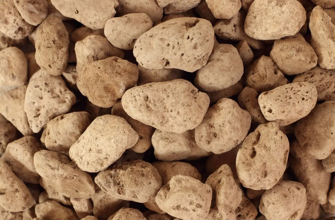 Non solo per i piedi: ecco perché dovresti mettere subito la pomice nei vasi delle tue piante